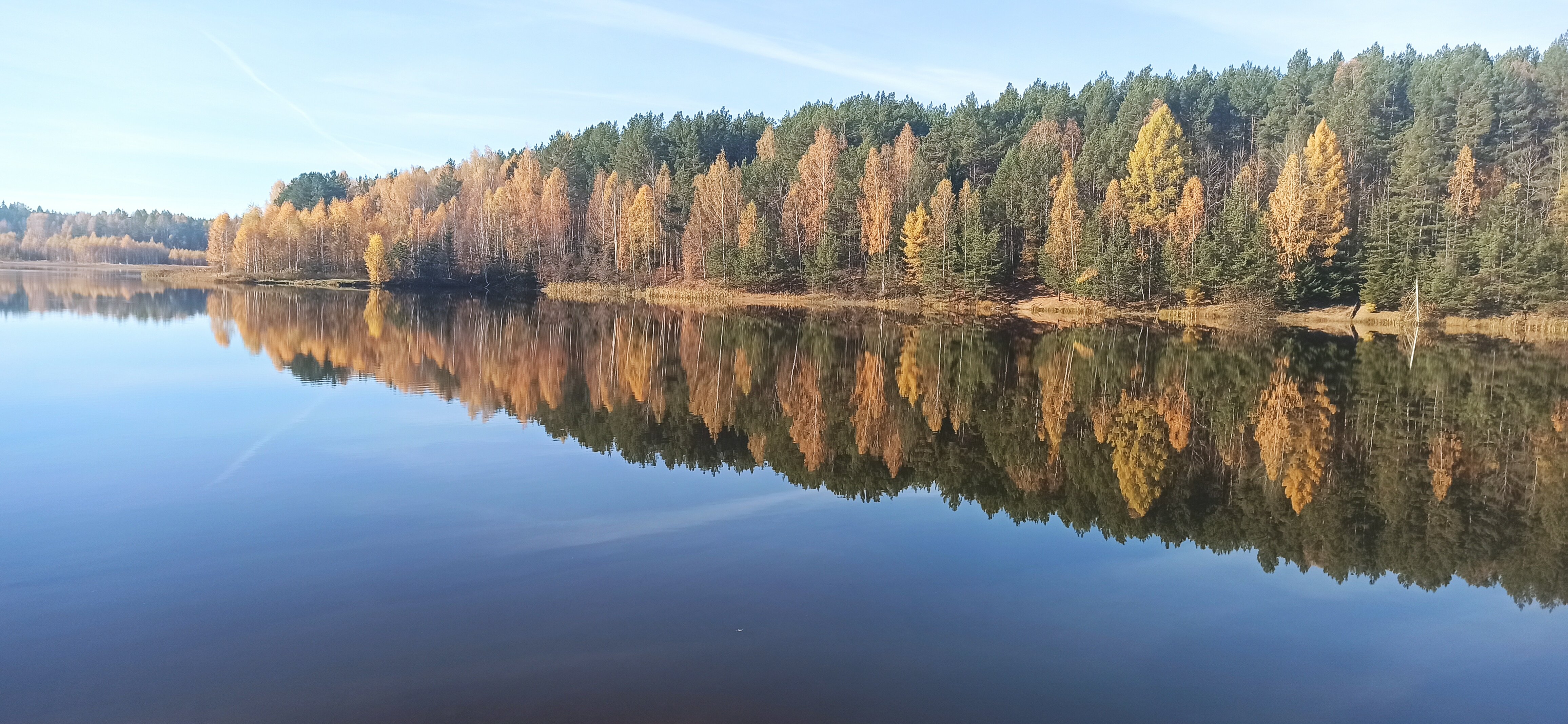 Фото Лесная сказка