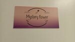 Mystery Flower (Ekaterininskaya Street, 87), salón de cejas y pestañas