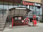 Krasnoe&Beloe (ulitsa Bibika, 24) ، محل بقالة