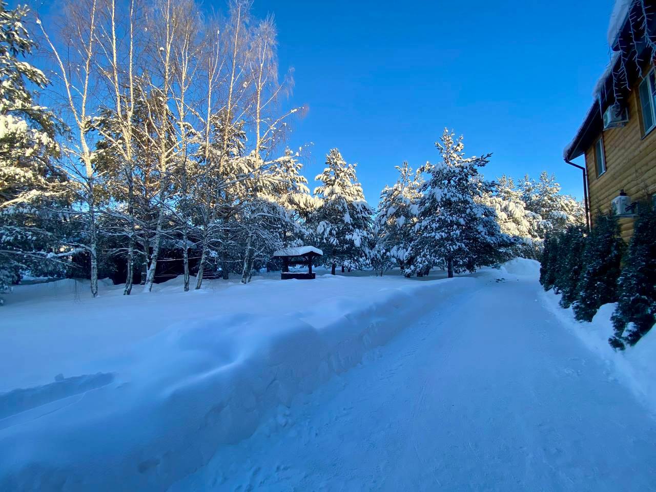 Фото На Чеснаве