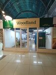 Woodland (Petrov kóshesi, 24), art supplies and crafts