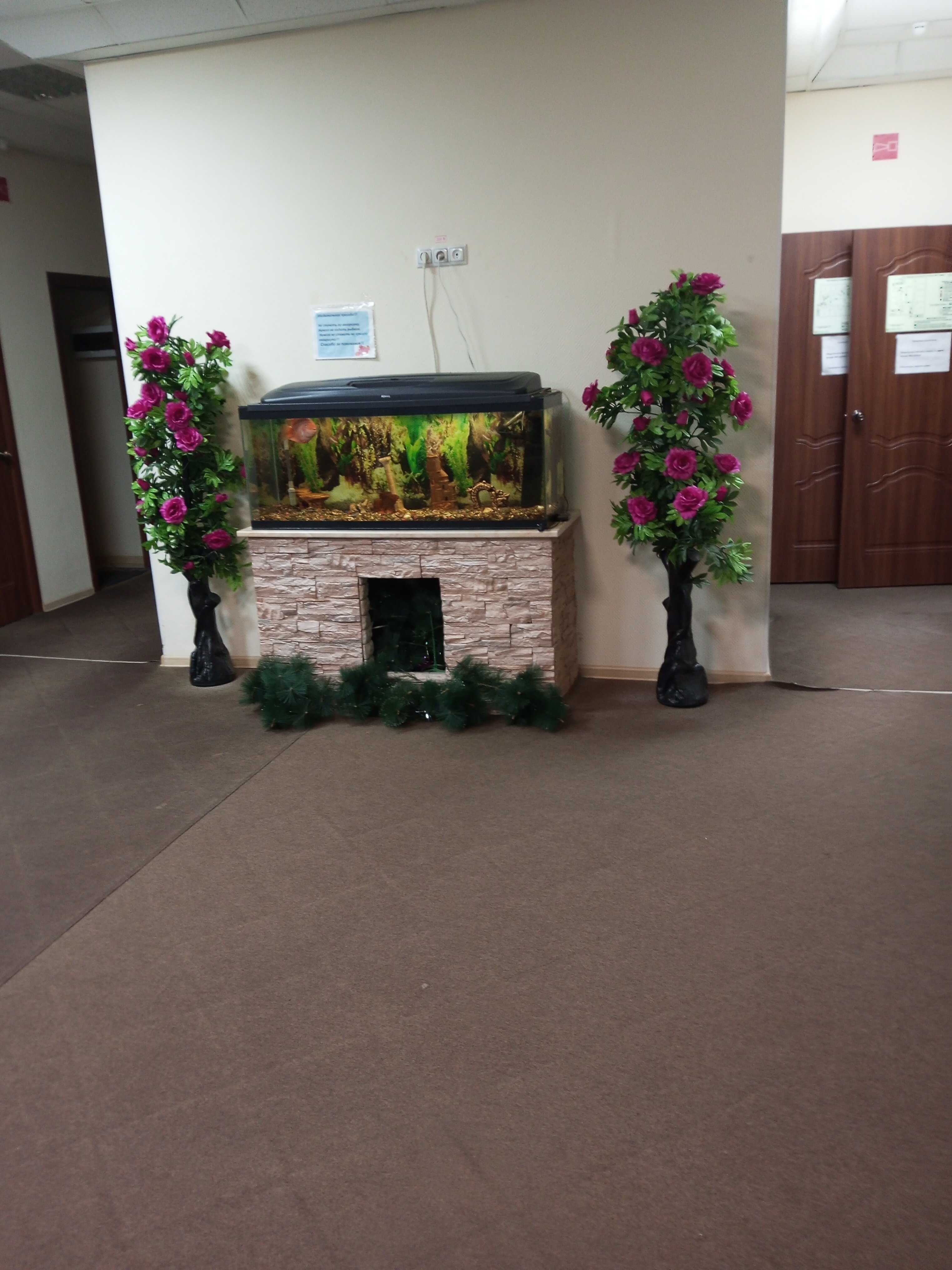 Фото Алишка