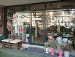 Lemon Flower House (Konya, Meram, Larende Cad., 25A) ، محل زهور