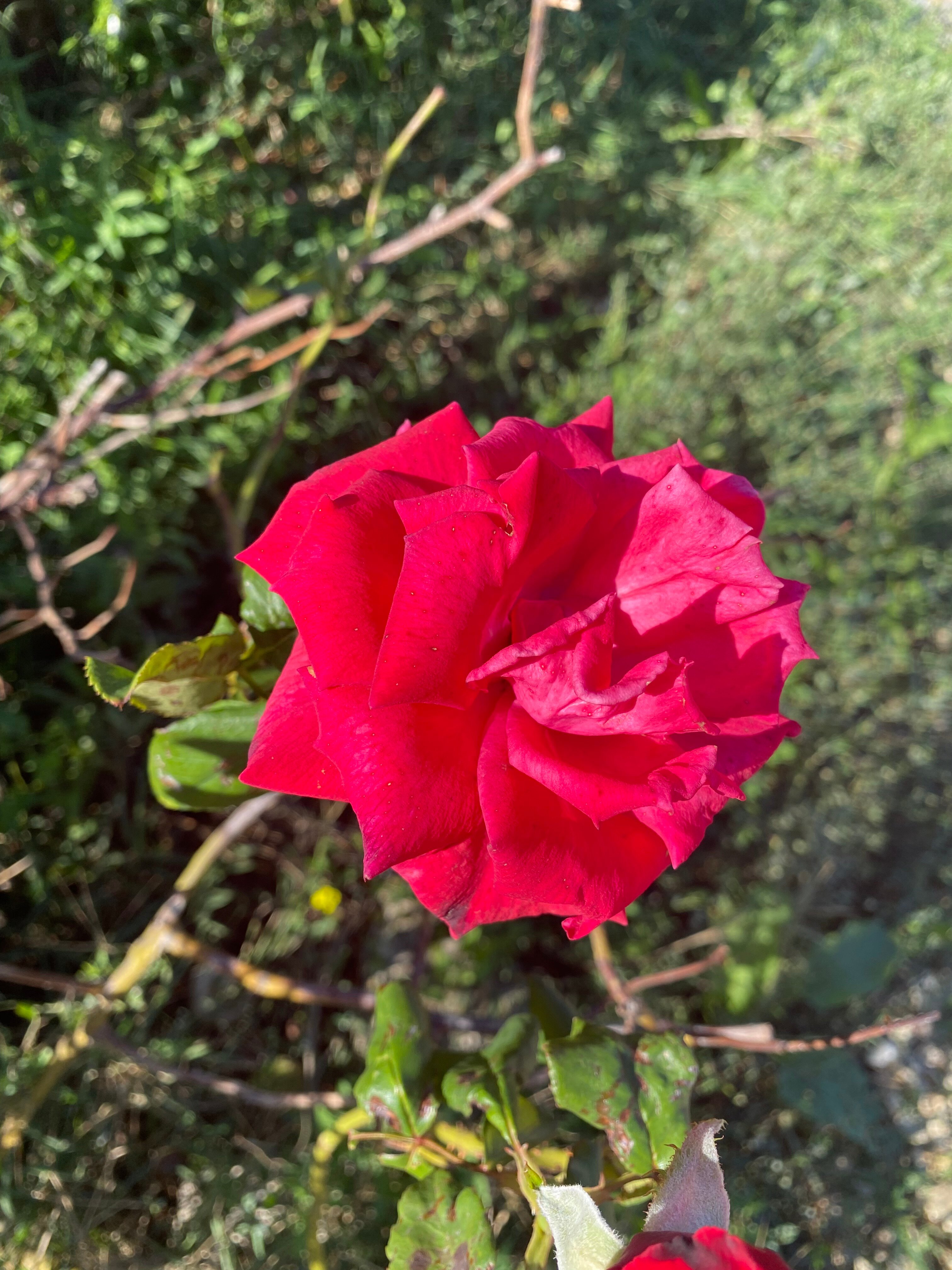 Фото Деревенька