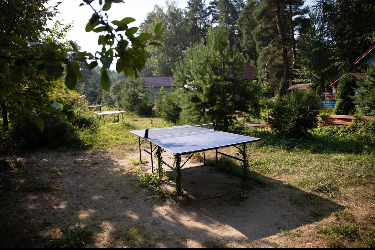 Фото Лебяжье