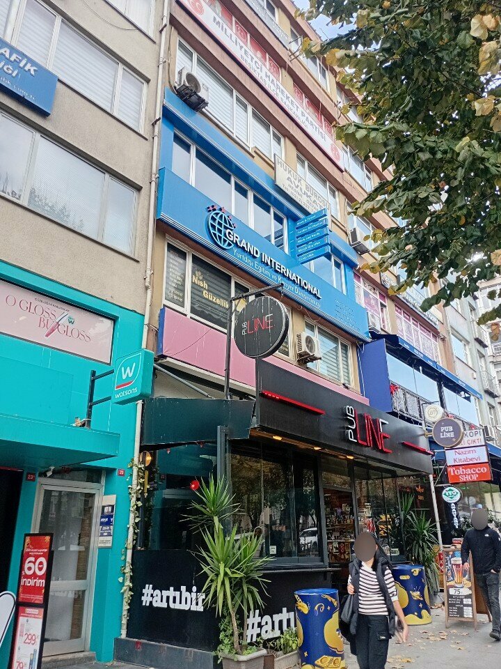 Political parties Mhp Besiktas Branch, Istanbul, photo