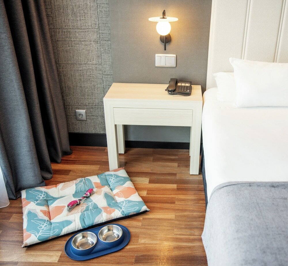 Фото Hotel Ilunion Alcalá Norte