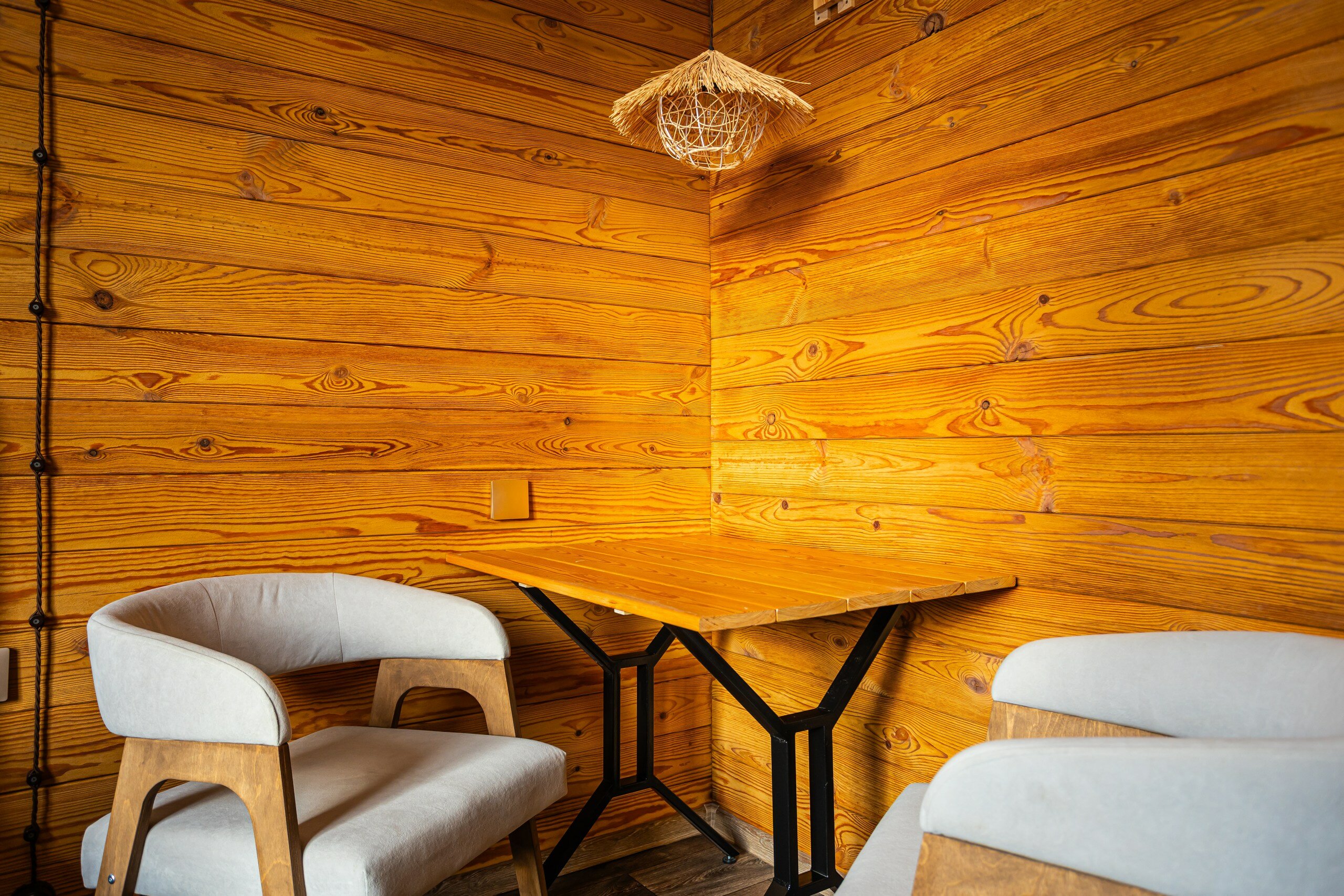 Фото Рыжий пони