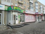 Magazin Tsvety (prospekt Pobedy, 44), flower shop