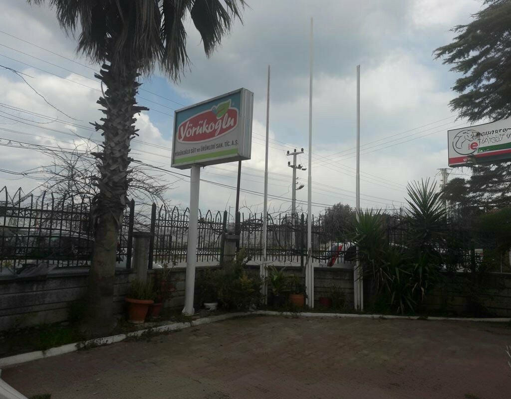 Dairy products wholesale Yorukoglu, Antalya, photo