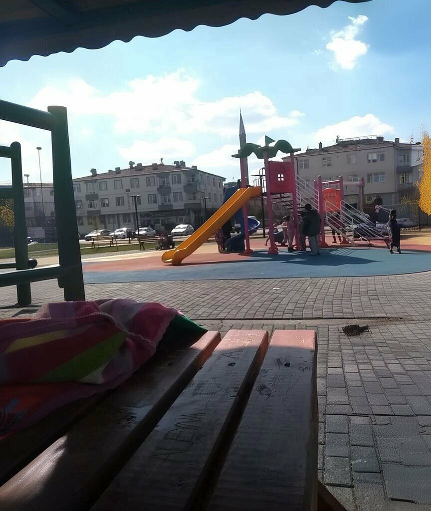 Park Urban forest, Kayseri, photo