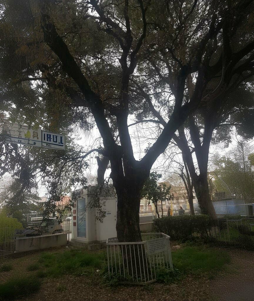 Telecommunication company Turk Telekom, Torbali, photo