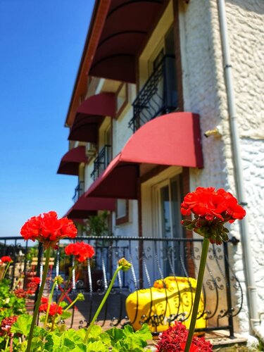 Гостиница Satsuma Butik Otel в Сеферихисаре