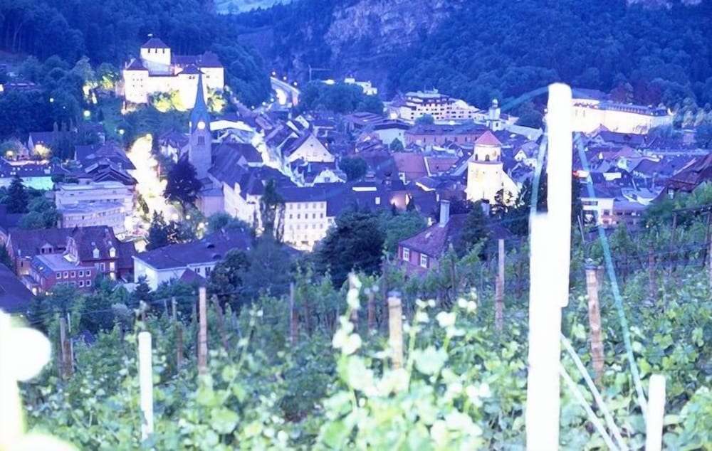 Фото Central Hotel Löwen