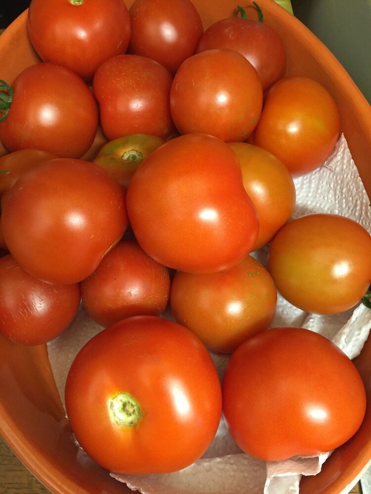 Фото Kathmore Guest House