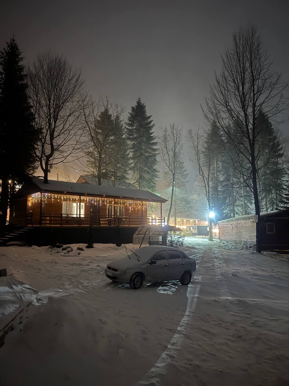 Фото Аргали