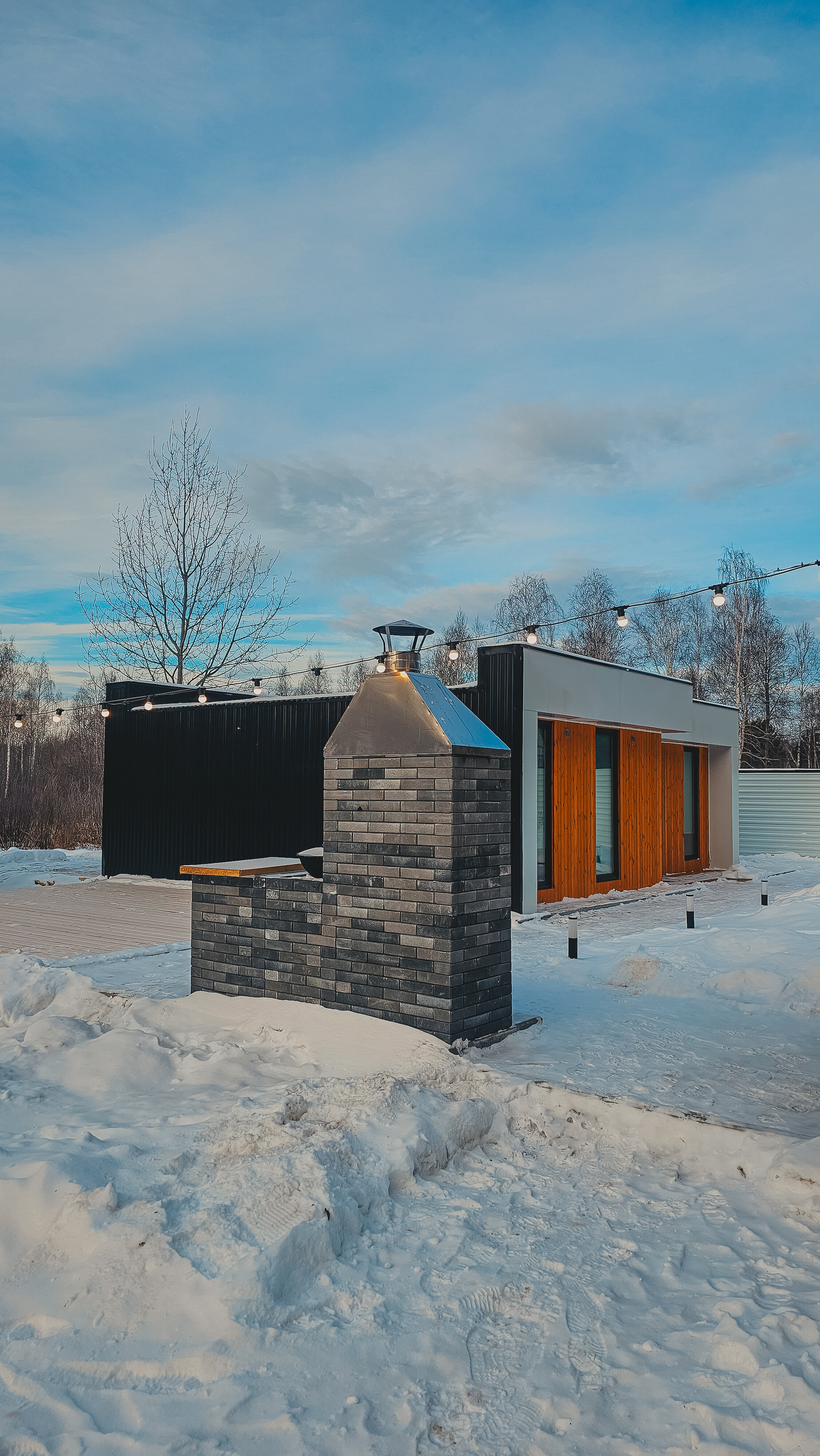 Фото Энергия леса