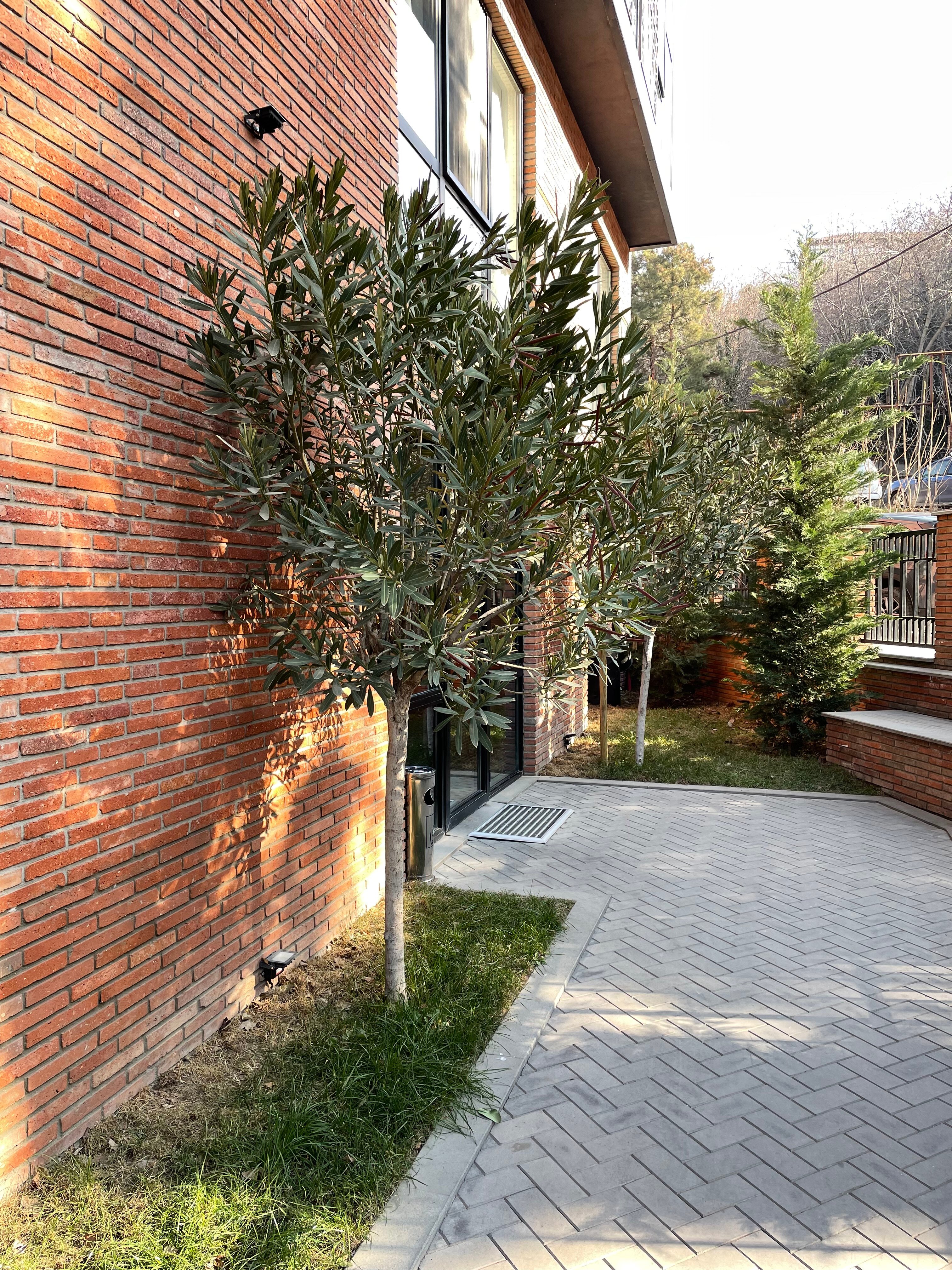 Фото Address Boutique Hotel