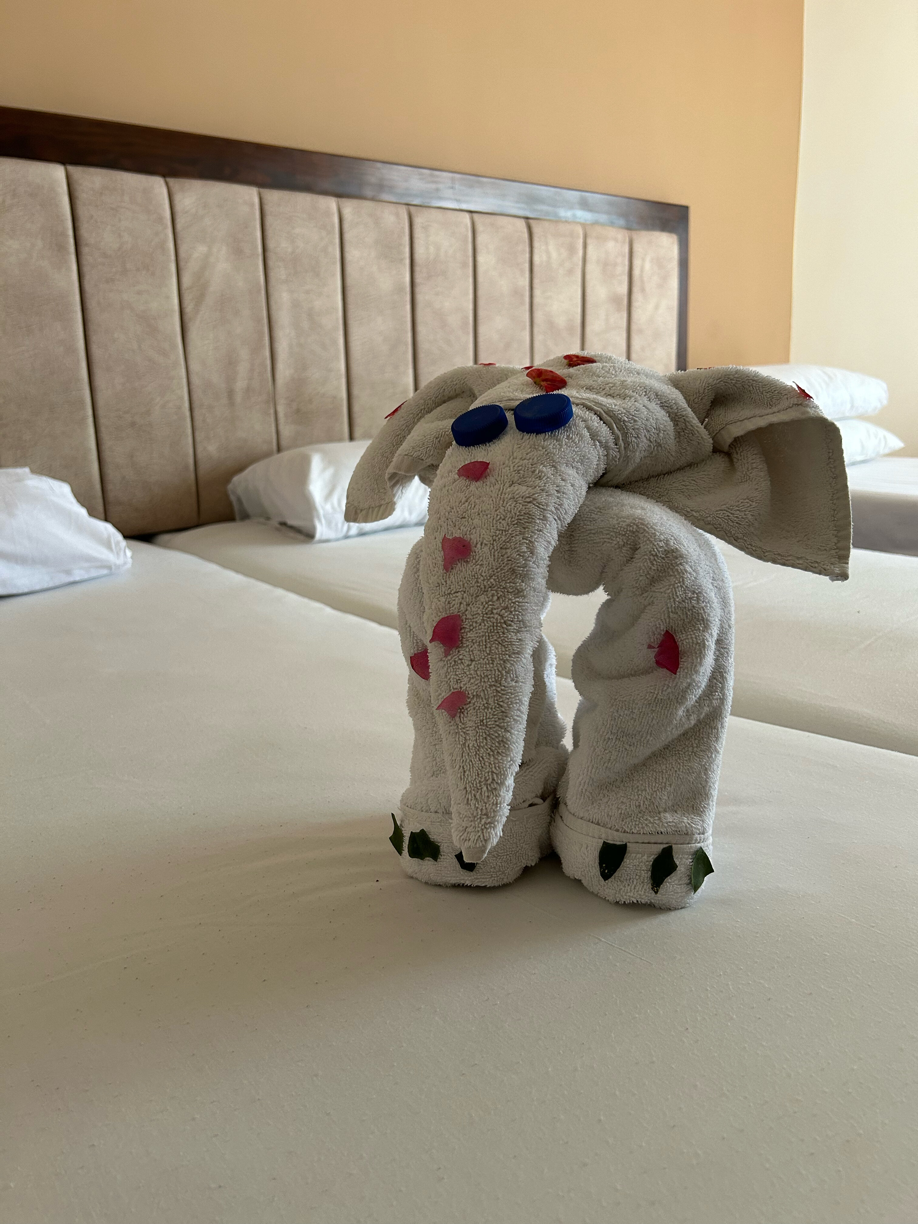 Фото Ivy Cyrene Sharm Resort