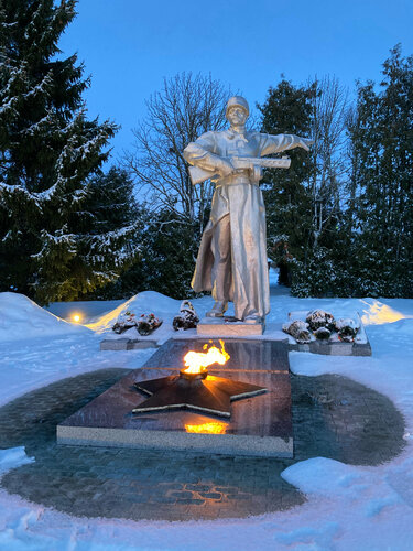 Внешний вид отеля Родина в Жиздре, фото 2