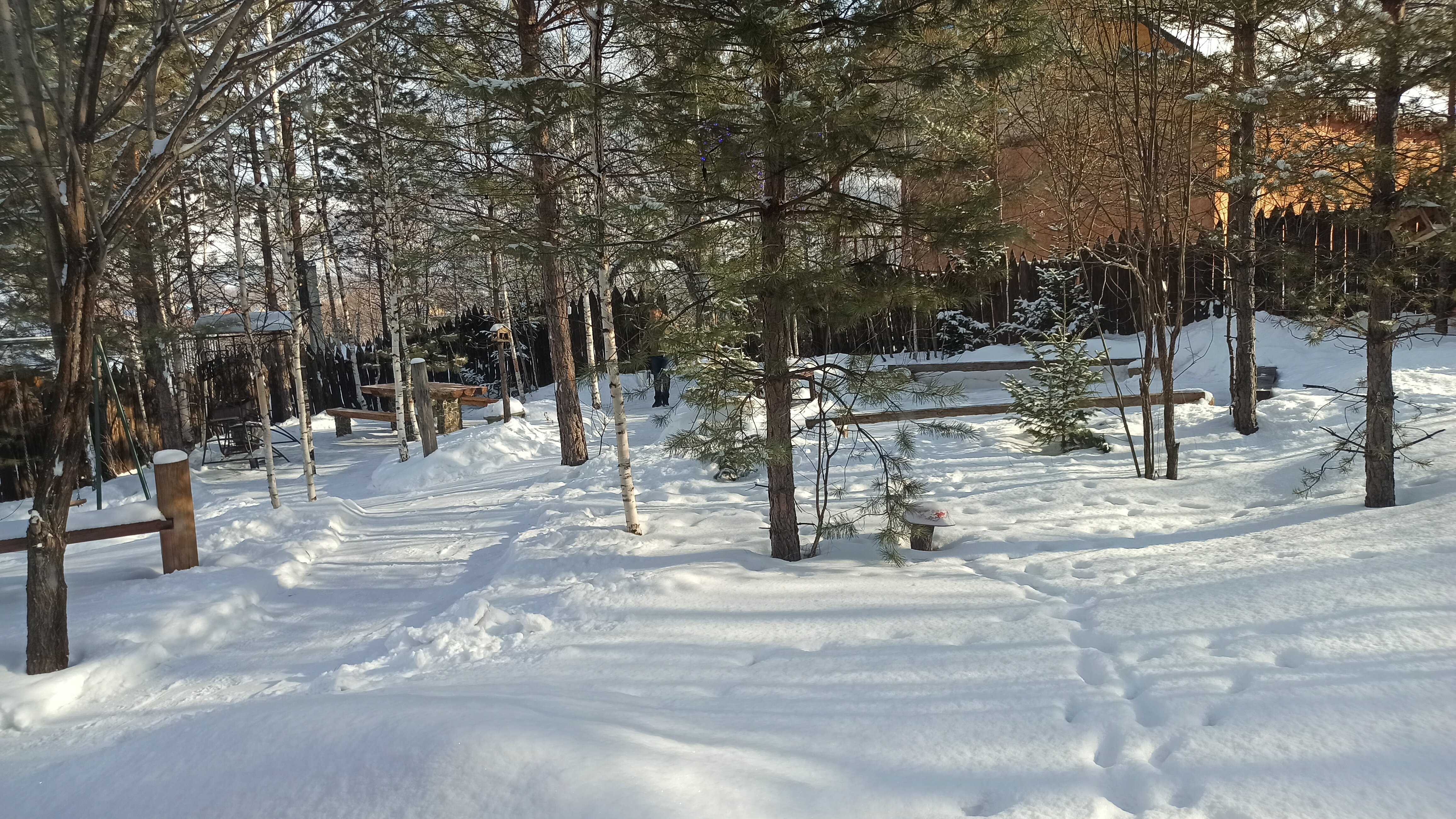 Фото Дыхание Природы