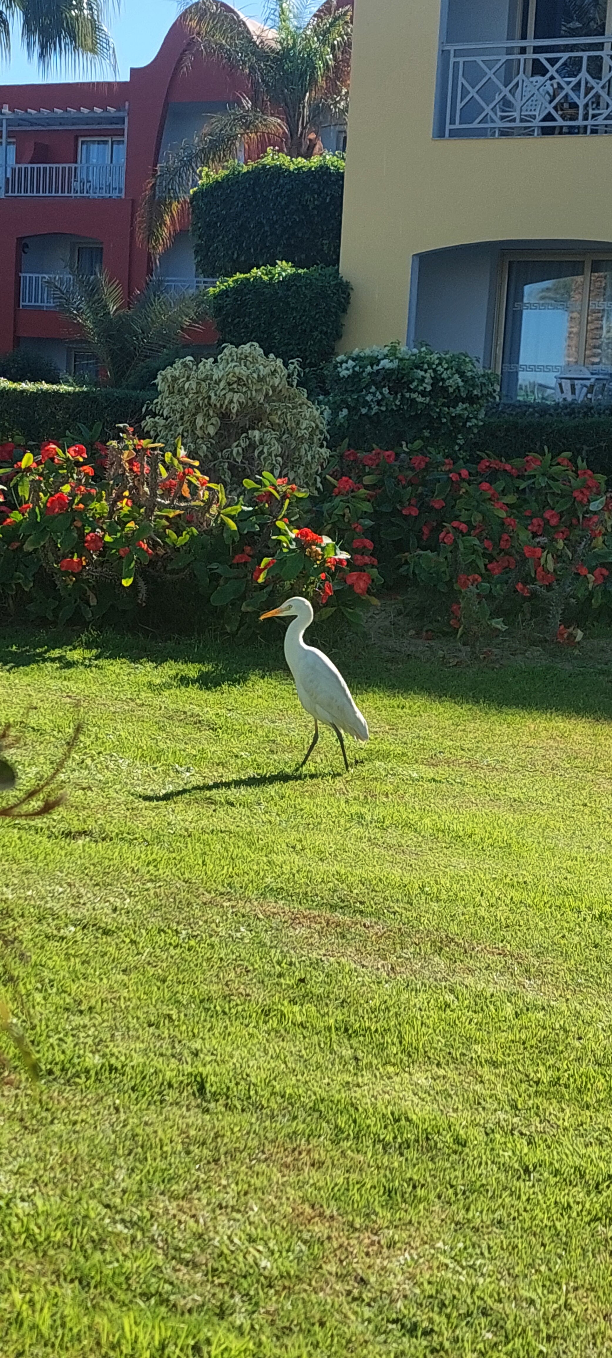Фото Titanic Beach