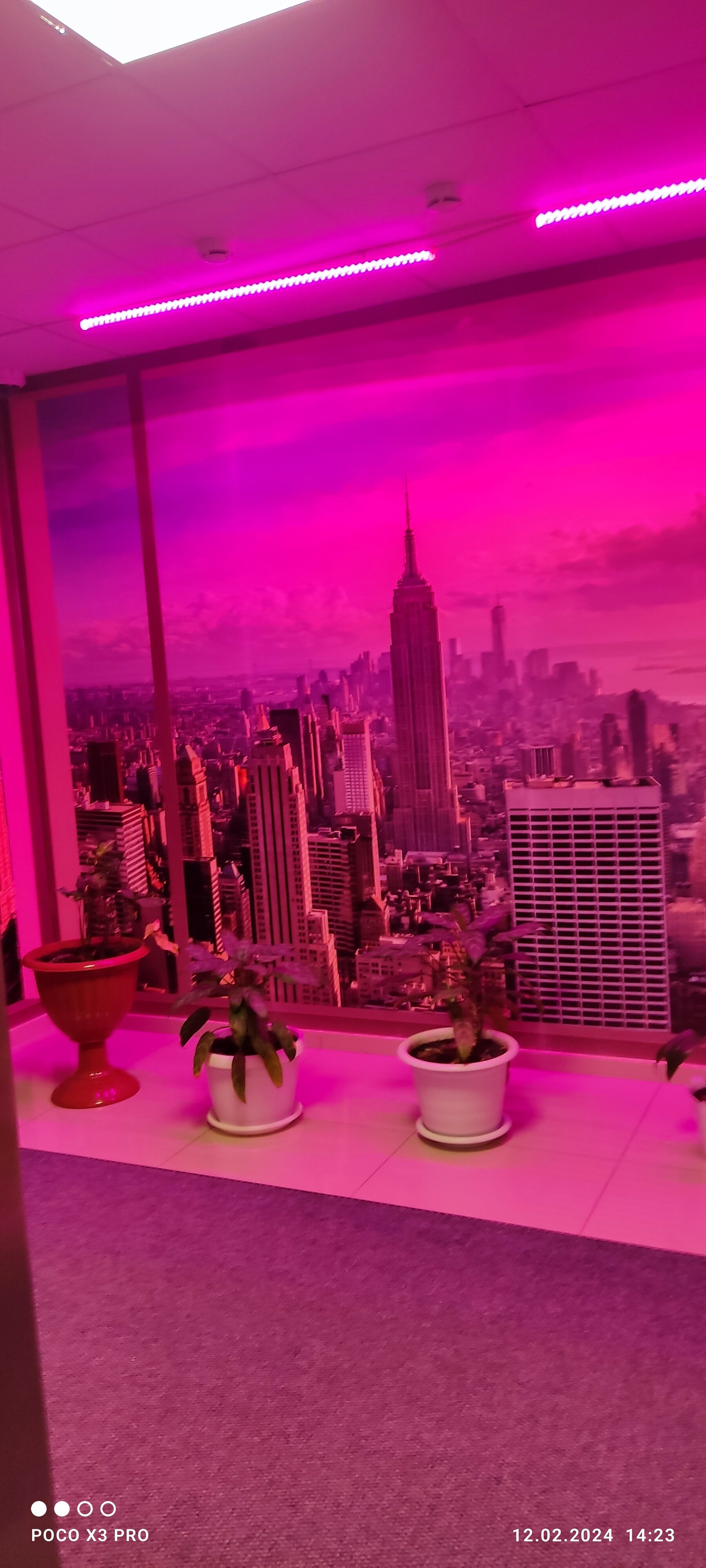 Фото Континент