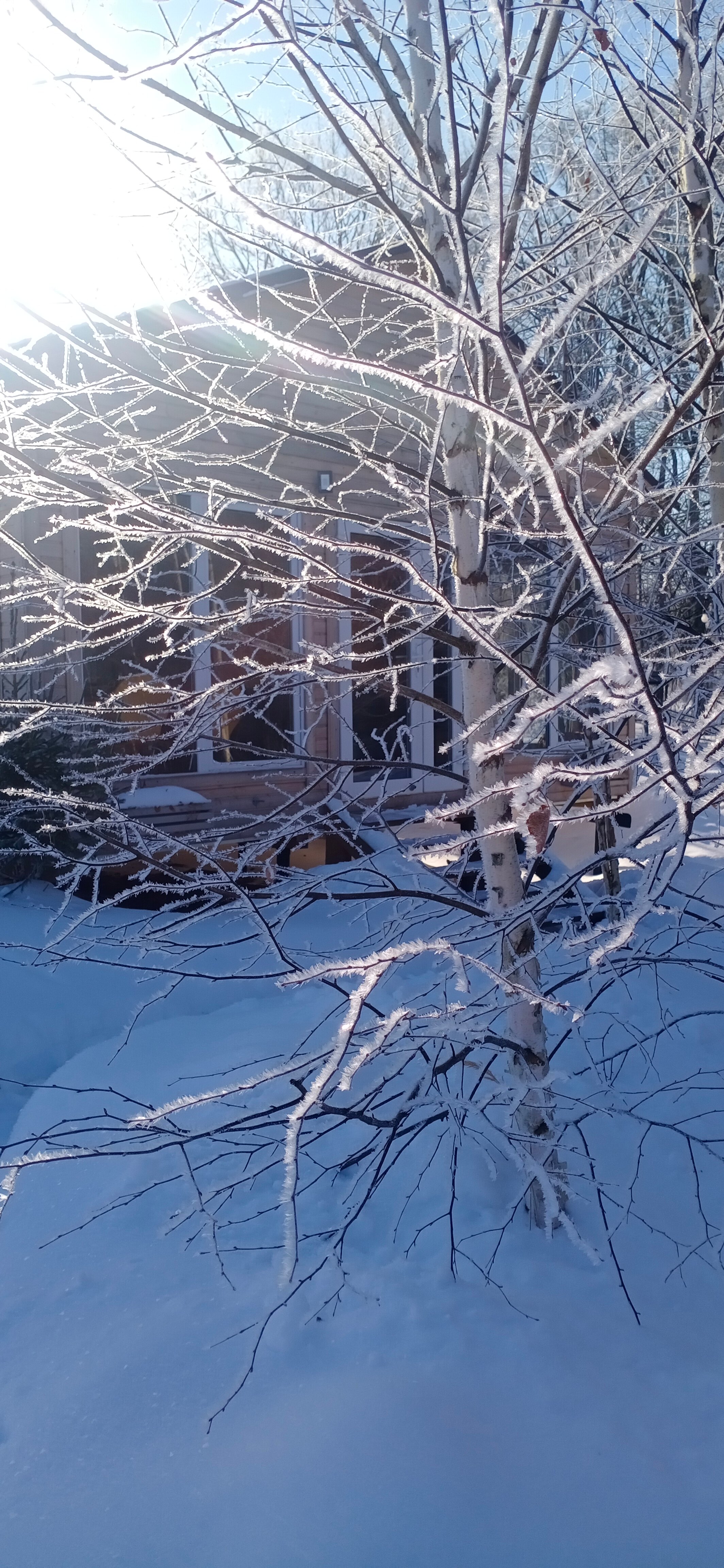 Фото Дом, в Котором Горит Свет