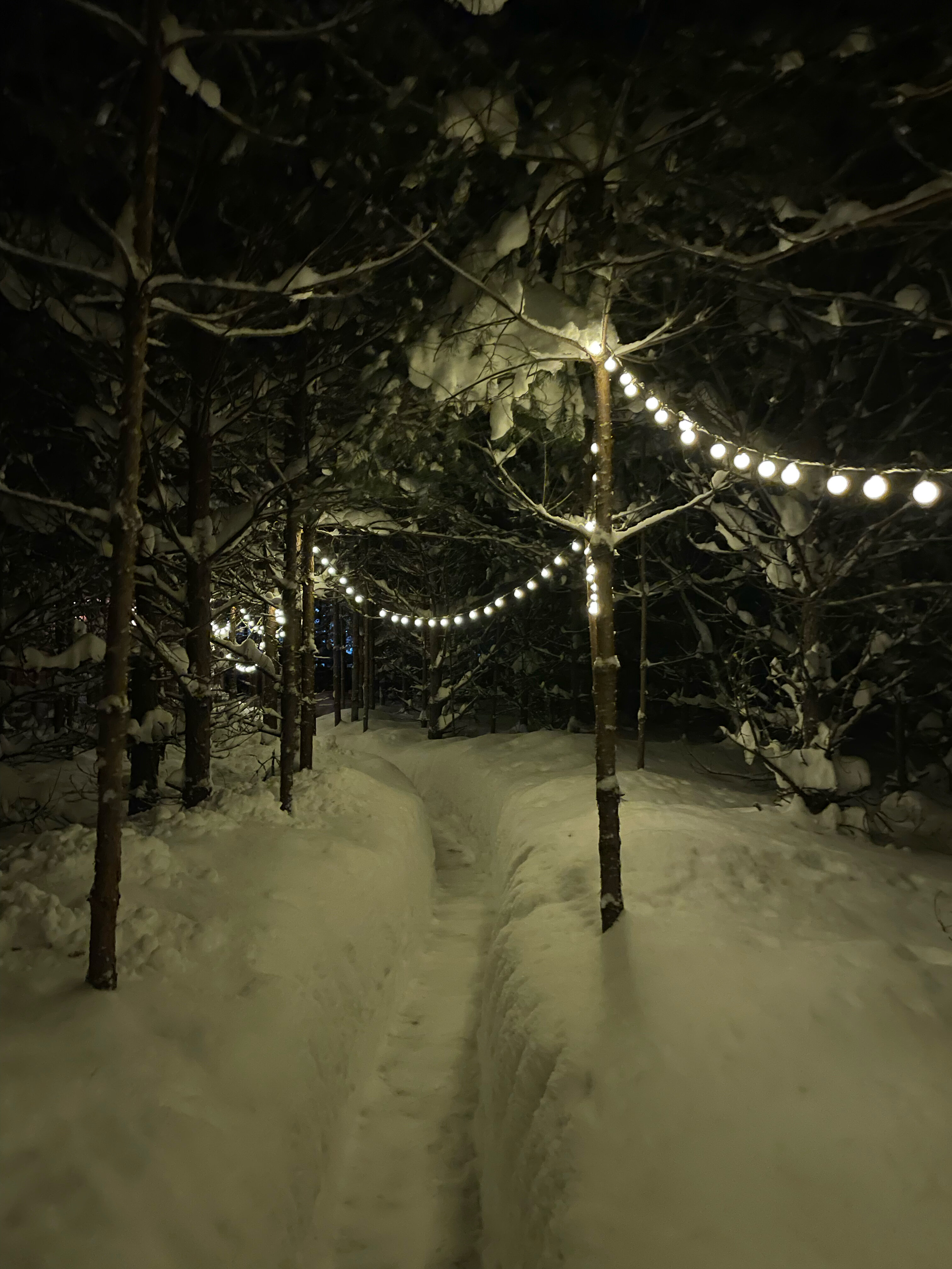 Фото Skazka в лесу