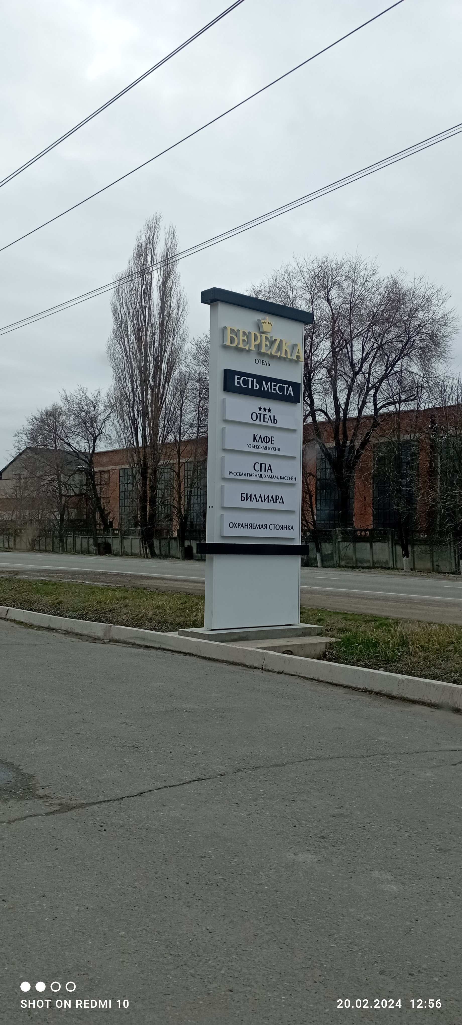 Фото Березка