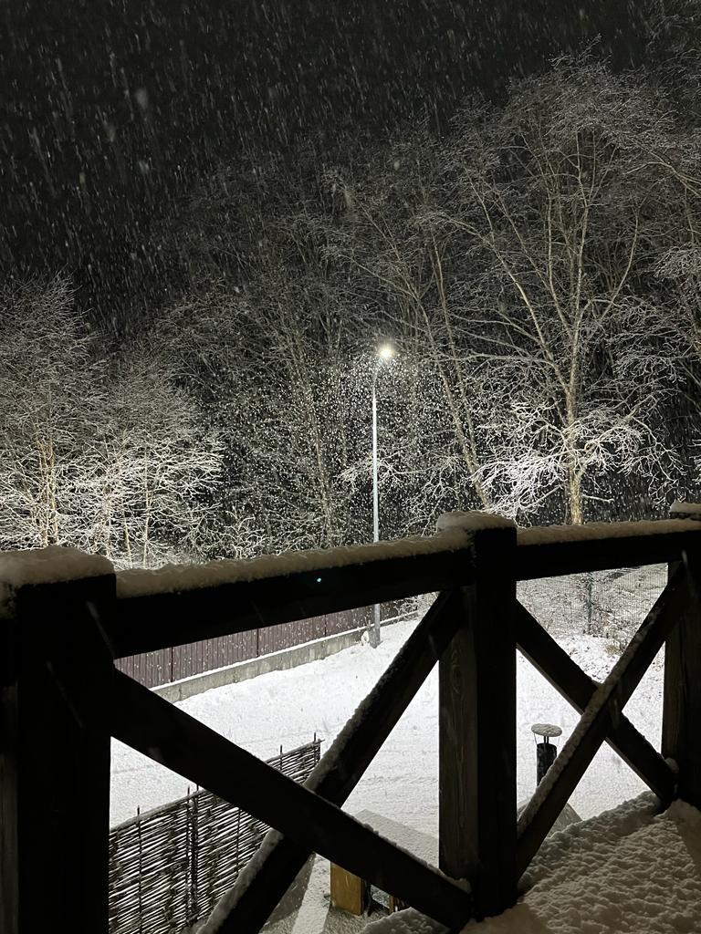 Фото Лесная поляна