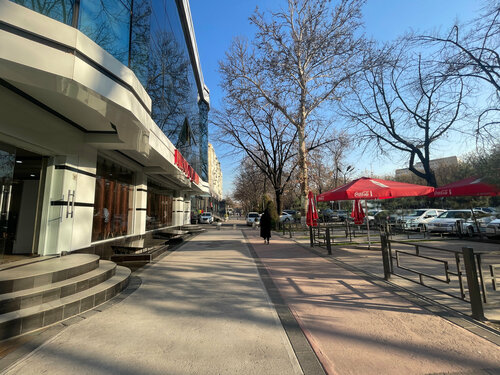 Orqa kochada porno video