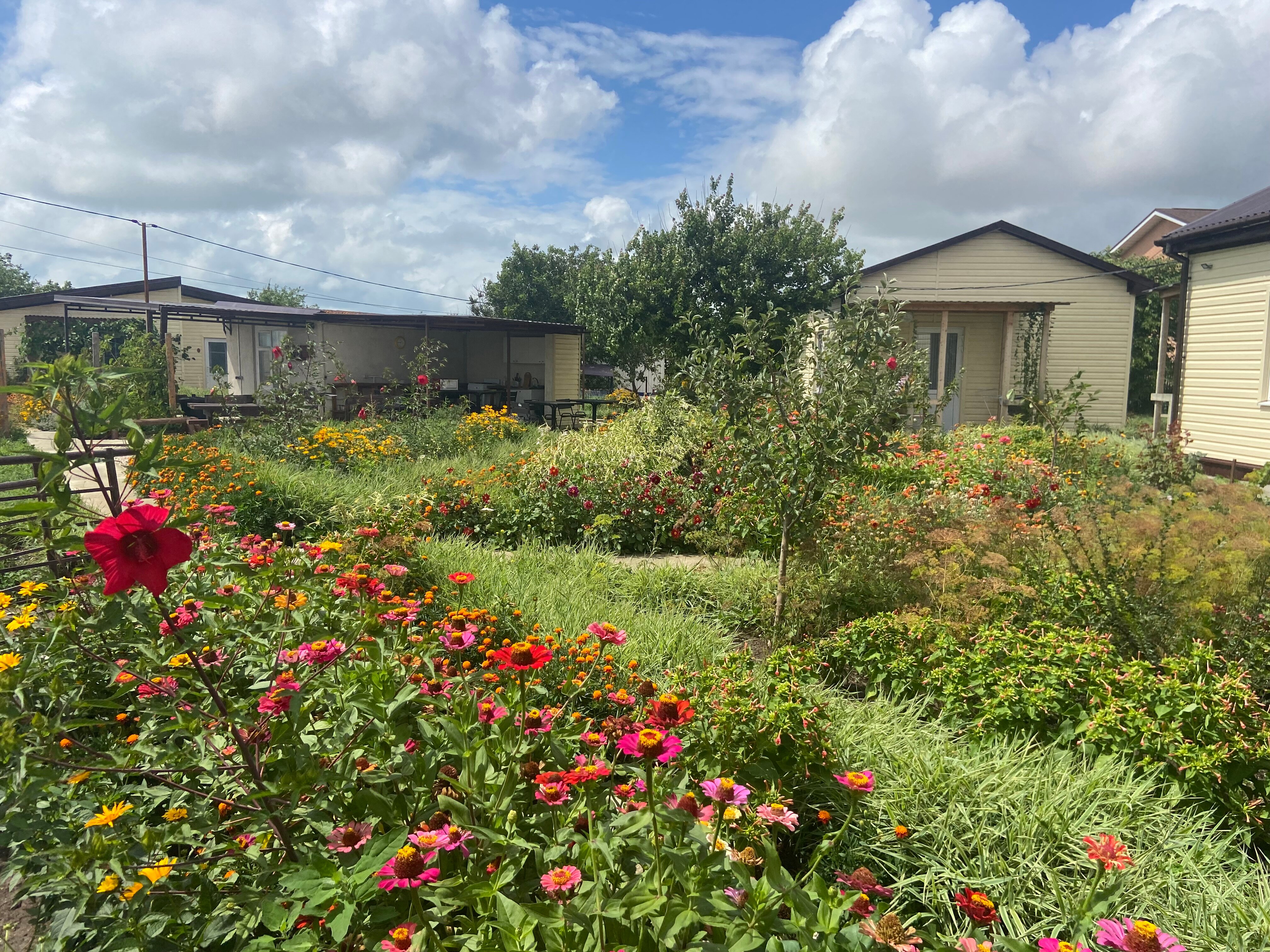 Фото В гостях у моря