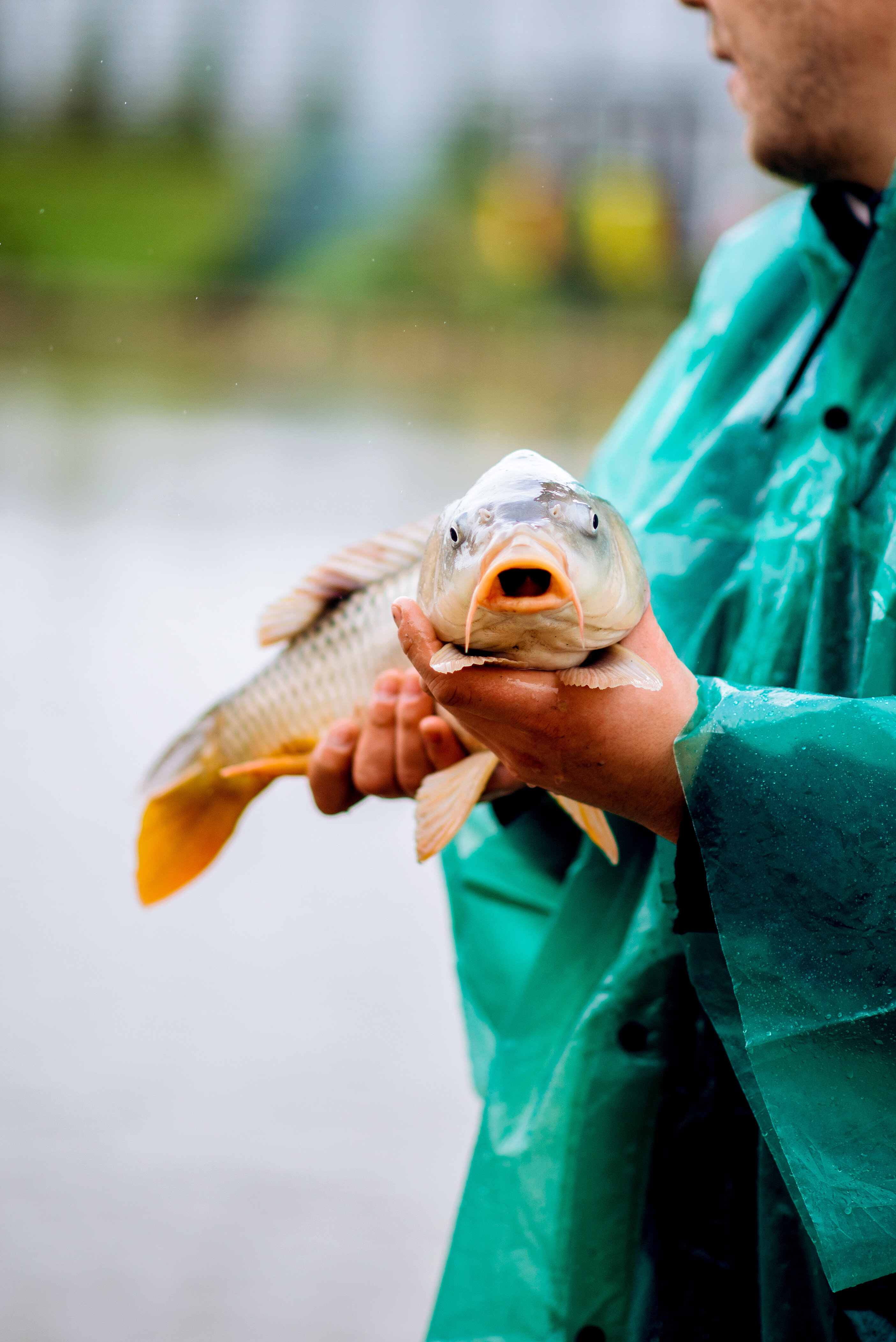 Фото Солнечное Озеро