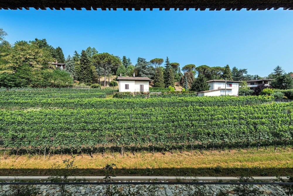 Фото Lo Scudo di Stabio