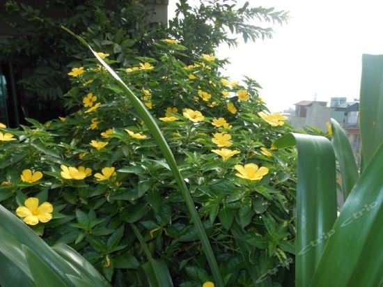 Фото Le Grand Hanoi Hotel