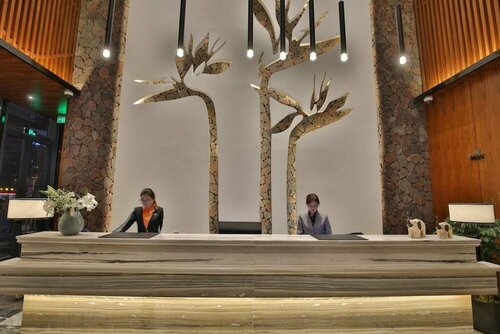 Гостиница Ssaw Boutique Hotel Wenzhou в Вэньчжоу