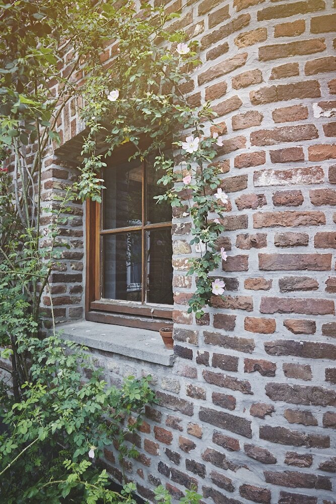 Фото B&b Maas EN Heuvel Maastricht