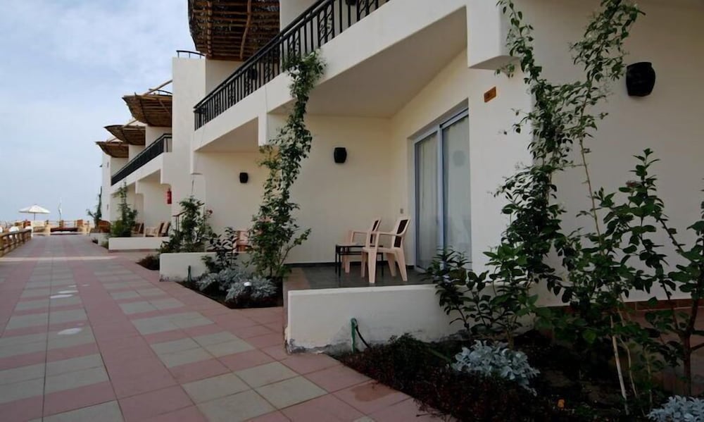 Фото Панда Дахаб резорт