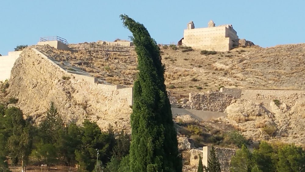 Фото Hospedería Rural Constitución