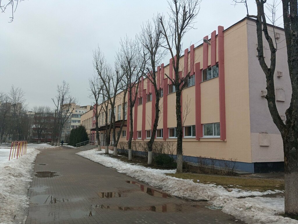 Общеобразовательная школа Средняя школа № 132, Минск, фото