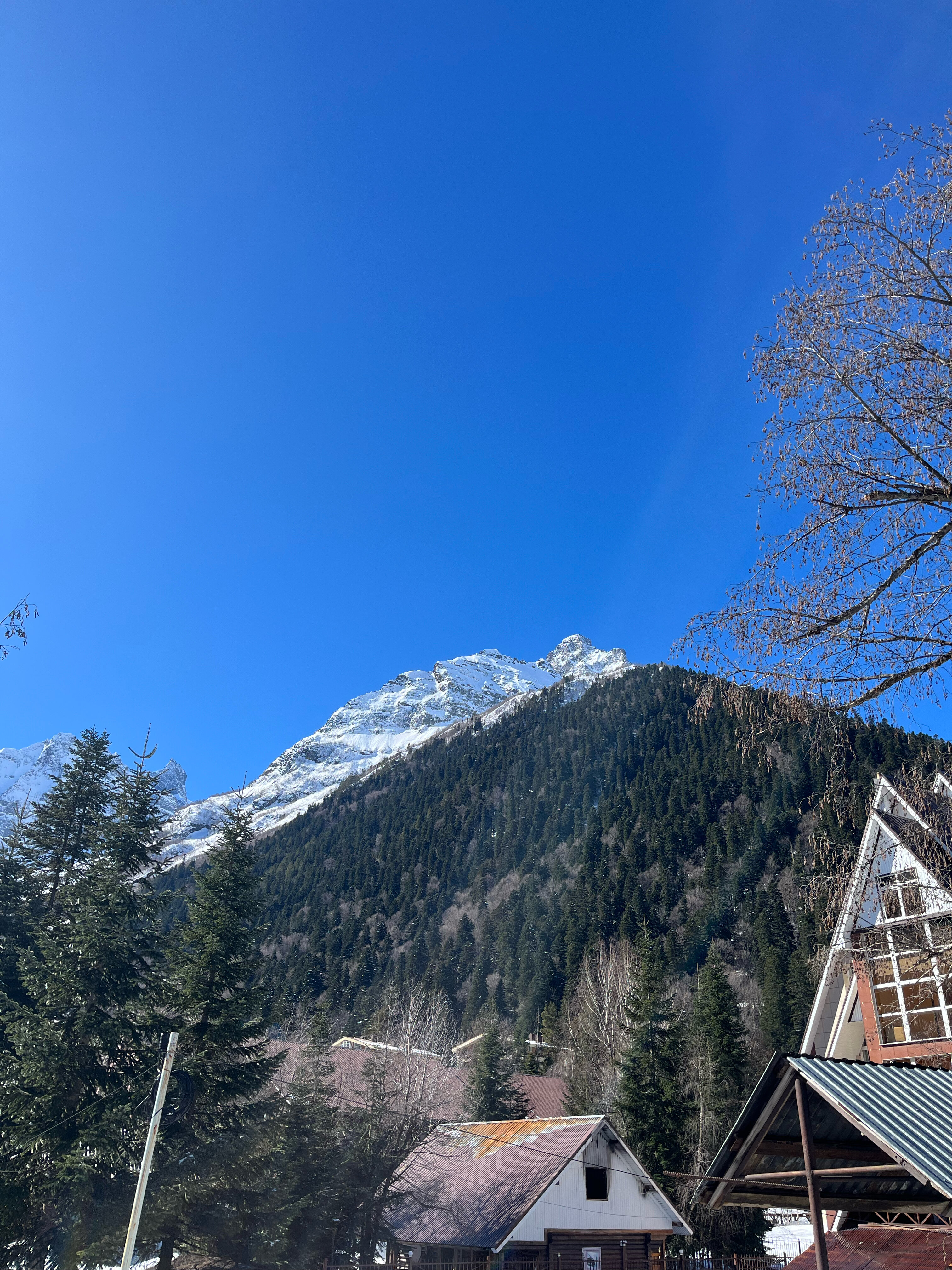 Фото Родник