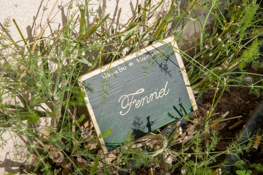 Фото Serenity River Villa