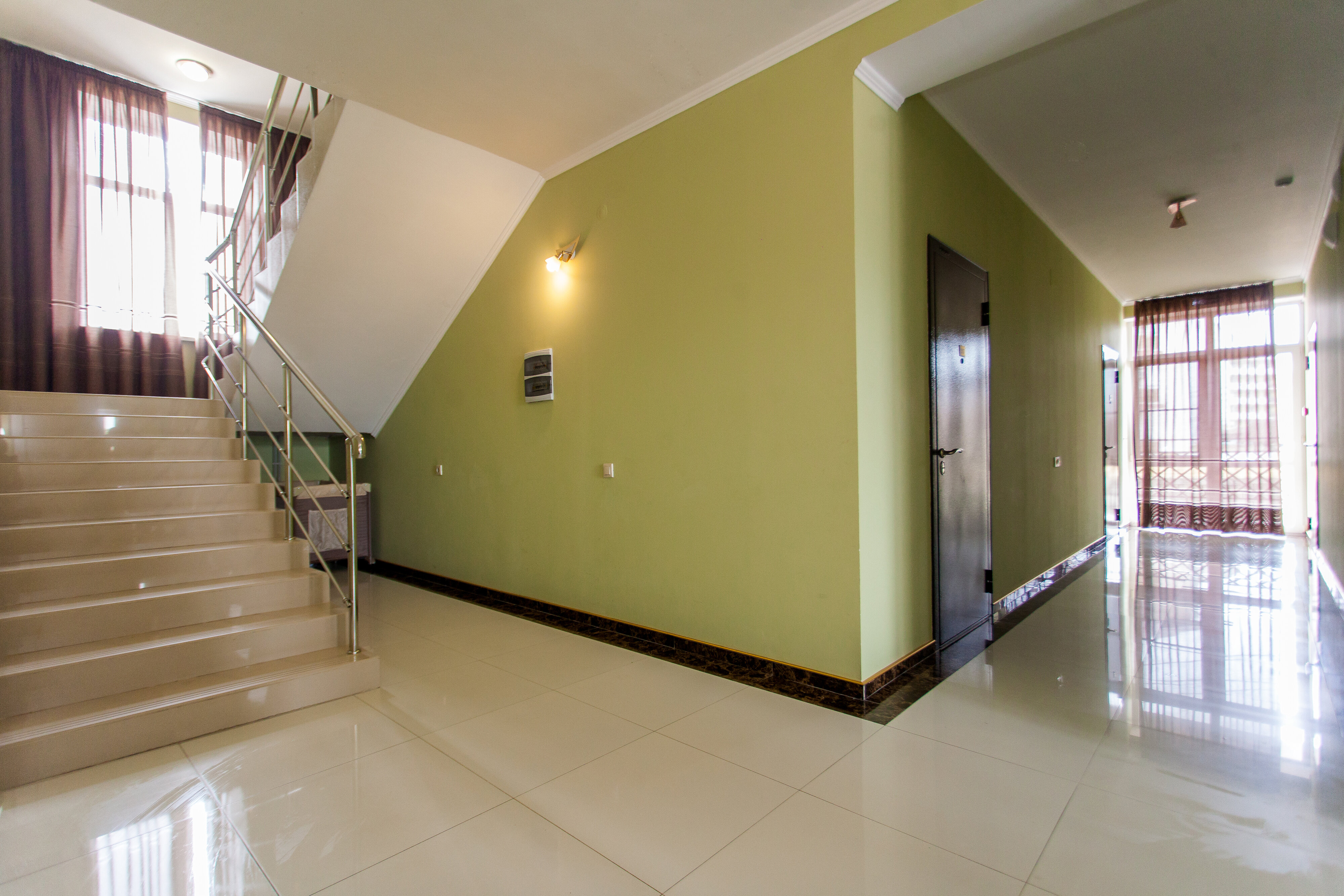 Фото Мангостин