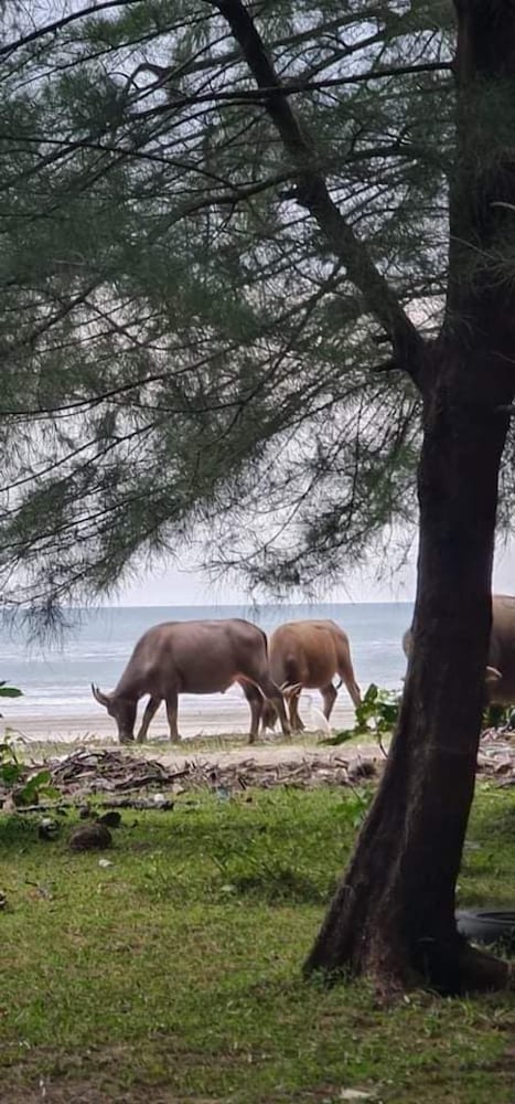 Фото Andaman Peace Resort
