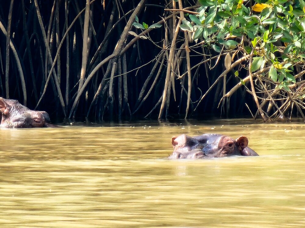 Фото Sunprime Tamala Beach Resort