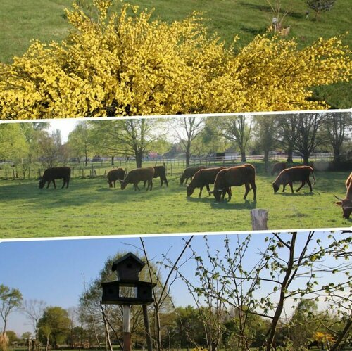 Гостиница La Catiniere в Ле-Мане