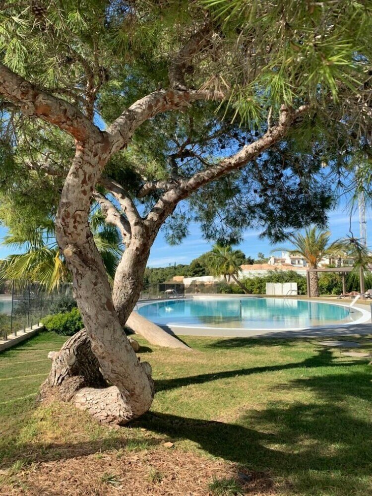 Фото La Zenia Penthouse Indoor/outdoor Pool &gym Eb3