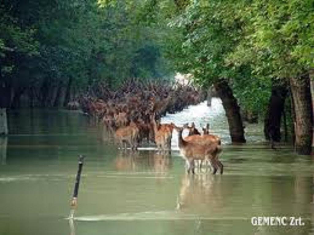 Фото Farmotel Stefania