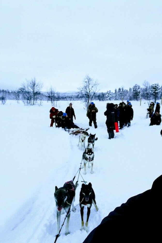 Фото Arctic Light Holiday House